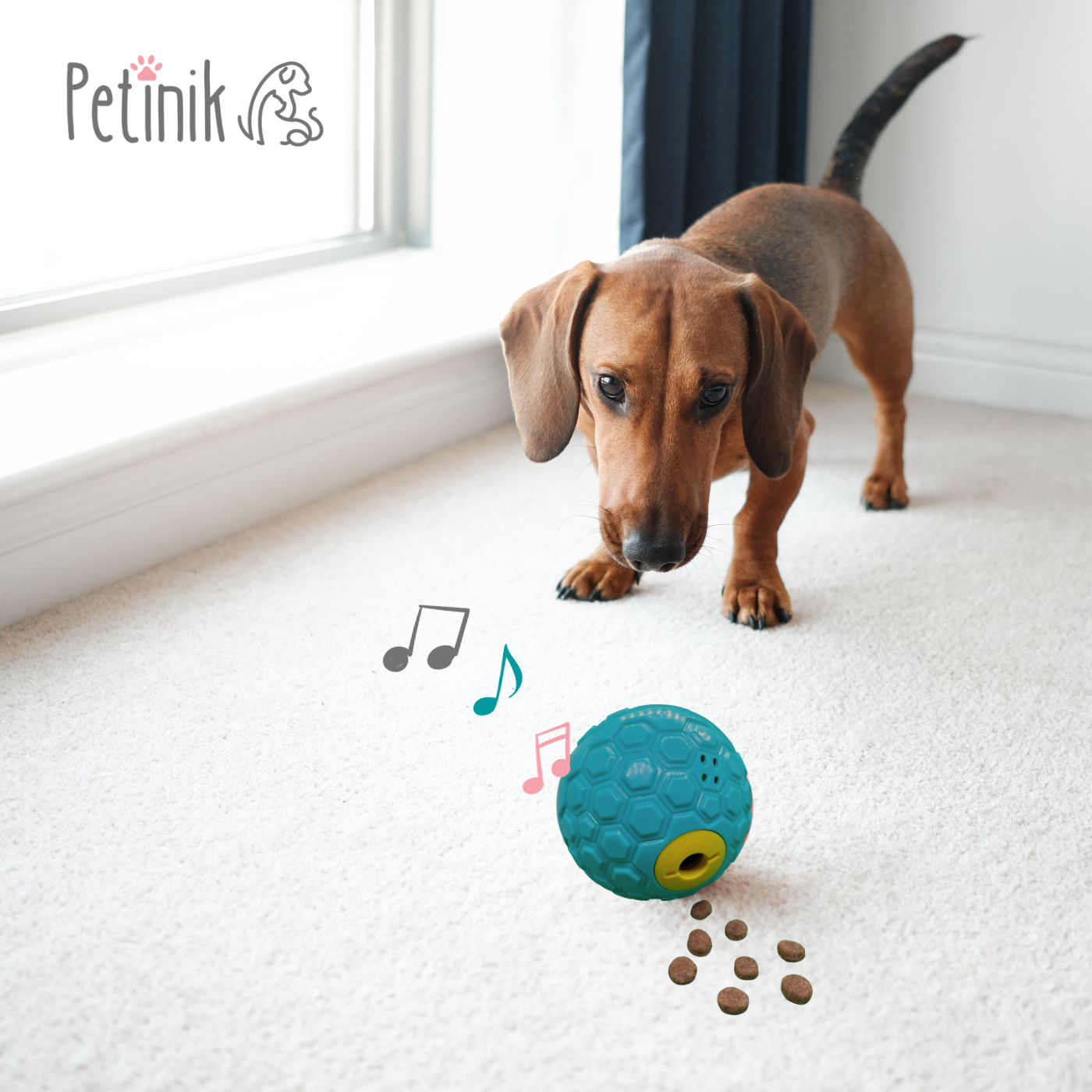 Petinik Giggling Puzzle Ball for Dogs